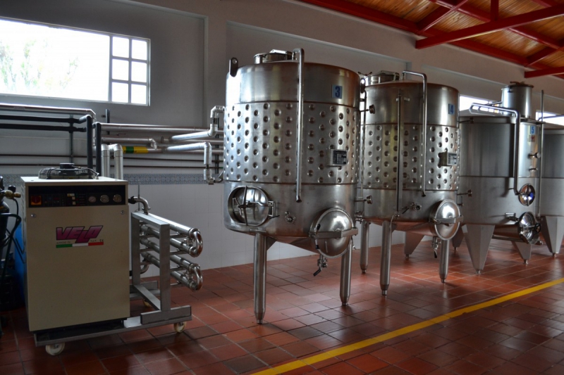 cave-LA TOUR-min_wine_production_cantine_winery_drink_alcohol_vine_beverage-902036